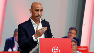 Spain starts probe over Rubiales' kiss as federation asks him to quit