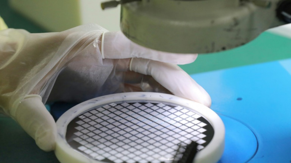 Ifo-Institut: Deutschland ist bei Halbleiterproduktion nicht einseitig abh&auml;ngig