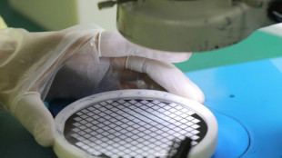 Ifo-Institut: Deutschland ist bei Halbleiterproduktion nicht einseitig abh&auml;ngig