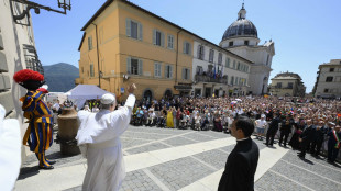 Il Papa, andrei a Gaza ma anche in altri luoghi dove c'è guerra