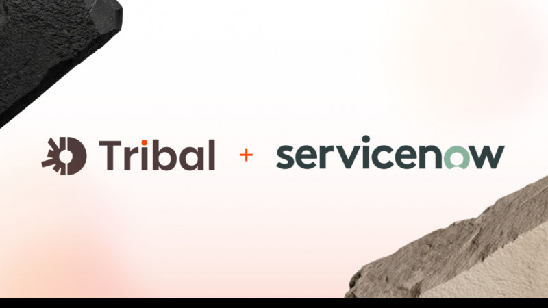 Tribal Partners with ServiceNow to Empower Enterprise Teams to Build and Deploy Apps & Agents
