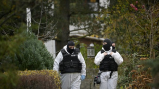 Allemagne: d&eacute;mant&egrave;lement d'un r&eacute;seau d'extr&ecirc;me droite qui voulait attaquer le Parlement