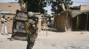 N&iacute;ger dice que sus tropas mataron a 79 "terroristas" cerca de Mal&iacute;