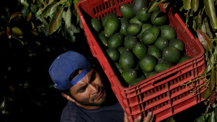 Super Bowl snack hurting Colombian farmers, environment