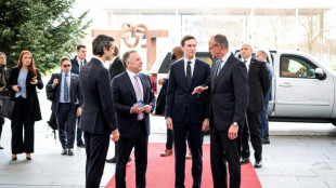 Zelenski se reúne con emisarios de EEUU en Berlín para negociar un fin del conflicto