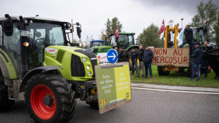 La UE detalla c&oacute;mo proteger&aacute; a los agricultores europeos en el tratado con Mercosur