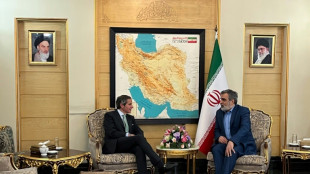 El jefe del OIEA, de visita en Ir&aacute;n para conversar sobre el programa nuclear
