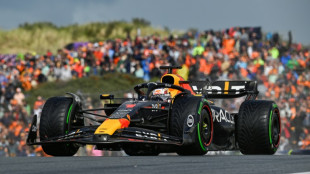 Verstappen hails 'incredible' home Dutch Grand Prix pole 
