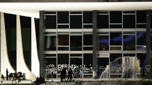 La polic&iacute;a argentina captura a uno de los fugitivos por la asonada en Brasil