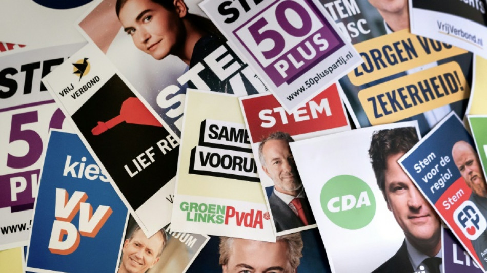 Les N&eacute;erlandais aux urnes, test pour l'extr&ecirc;me droite en Europe
