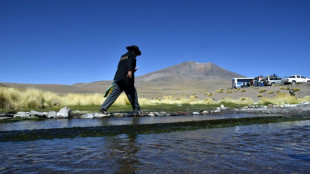 Fleuve Silala: la justice de l'ONU tranche le diff&eacute;rend Chili-Bolivie