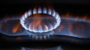 Il prezzo del gas apre in rialzo a 33,42 euro