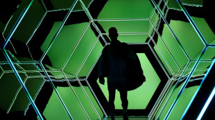 Bugs, dogs and snubs: Six sports offbeat stories in 2022