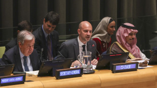 Parigi all'Onu, nessuna alternativa a soluzione due Stati