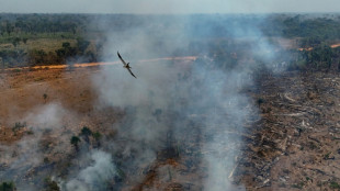 Brasilien: Brände treiben Zerstörung des Amazonas-Regenwalds voran