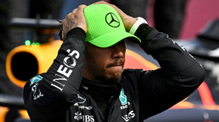 Hamilton sorry for sacked De Vries