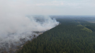 Studie: Waldbrand-Zerst&ouml;rungen in Europa k&ouml;nnten sich durch Klimawandel verdreifachen