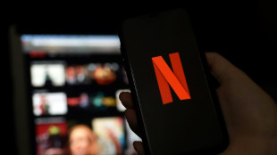 Netflix d&eacute;passe les 300 millions d'abonn&eacute;s gr&acirc;ce &agrave; 19 millions d'abonnements suppl&eacute;mentaires pendant les f&ecirc;tes