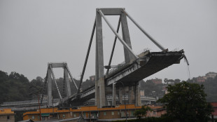 Ponte Genova:Mattarella,accertare definitivamente responsabilit&agrave;