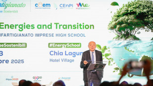 Confartigianato, con AI 50% consumi in più in quattro anni