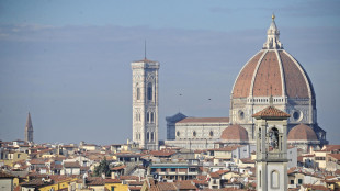Risciò vietati nel centro di Firenze dal 15 ottobre