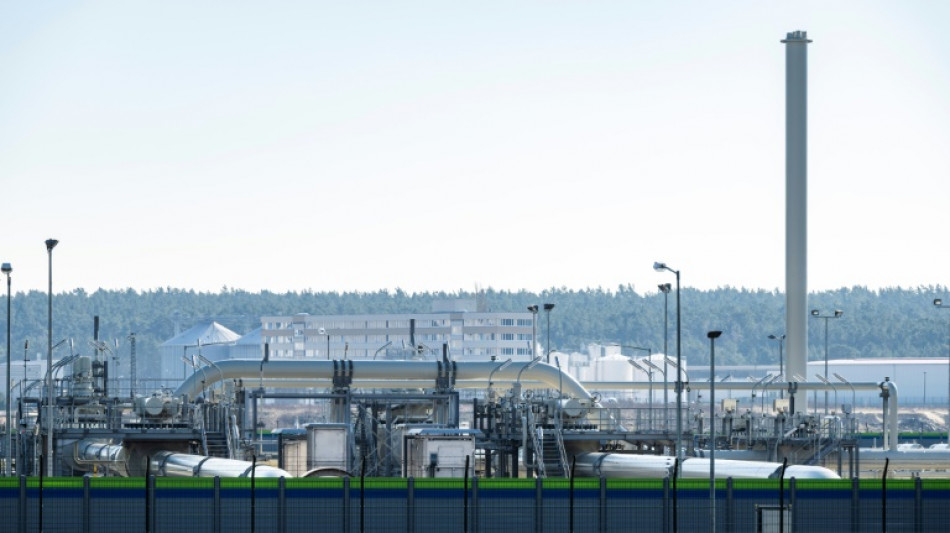 Trittin nennt deutsche Zahlungen f&uuml;r Energie an Russland erschreckend