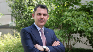 Just telling nations to quit fossil fuels 'not realistic': COP31 chief