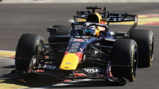 Verstappen unimpressed with new Madrid street track