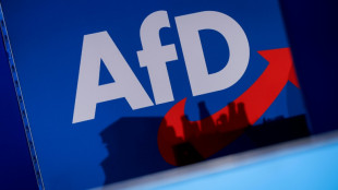 "FAS": Wirtschaftsverb&auml;nde sehen in AfD-Erfolg Risiken f&uuml;r Standort Deutschland