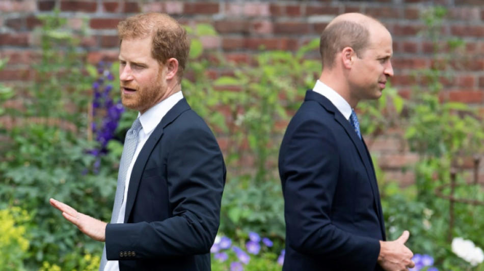 William and Harry: Britain's warring royal brothers
