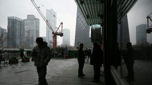 La contracci&oacute;n de la actividad industrial de China se agrava en febrero