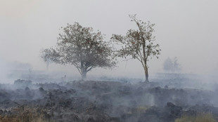 Waldbr&auml;nde: SPD spricht sich f&uuml;r besondere Auszeichnung f&uuml;r Feuerwehrleute aus