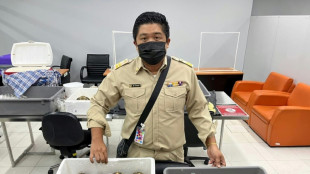 Interpol annonce le démantèlement d'un réseau de trafiquants de tortues protégées