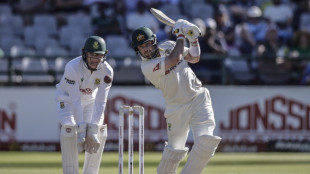 Inglis and Carey put Australia in command of South Africa decider