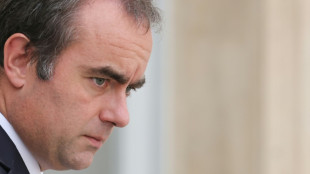 Lecornu saisit le Cese sur l'adaptation au changement climatique