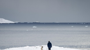 Copenaghen e Nuuk propongono una missione Nato in Groenlandia