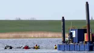 Germany holds breath as stranded whale 'Timmy' sets off in barge