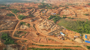 EU-Abkommen mit Indonesien: Deutsche Industrie hofft auf Rohstoffe