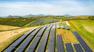 Terna, da gennaio ad agosto installati 4,5 Gw di rinnovabili