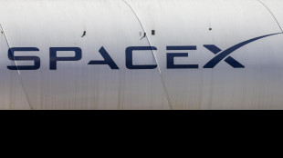 Domani notte nuovo test per la Starship di Musk, &egrave; il 13esimo lancio