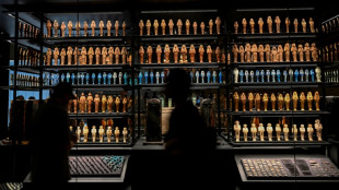 King Tut's collection displayed for first time at Egypt's grand museum