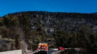 Mejoran condiciones para apagar el gran incendio del oeste de Espa&ntilde;a